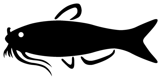 Catfish