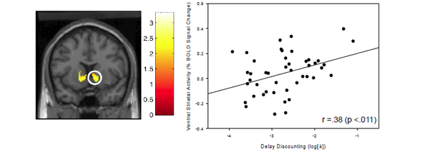 Reward-Related Ventral Striatal Reactivity Predicts Impulsivity