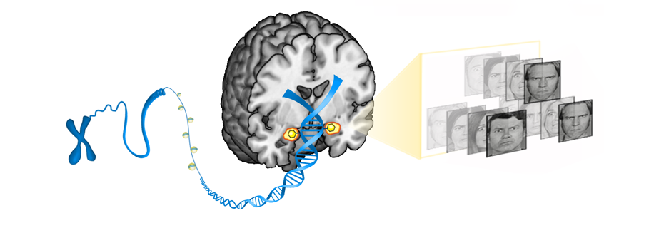 ses-epigenetics