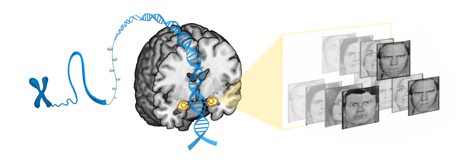 BeyondGenotype